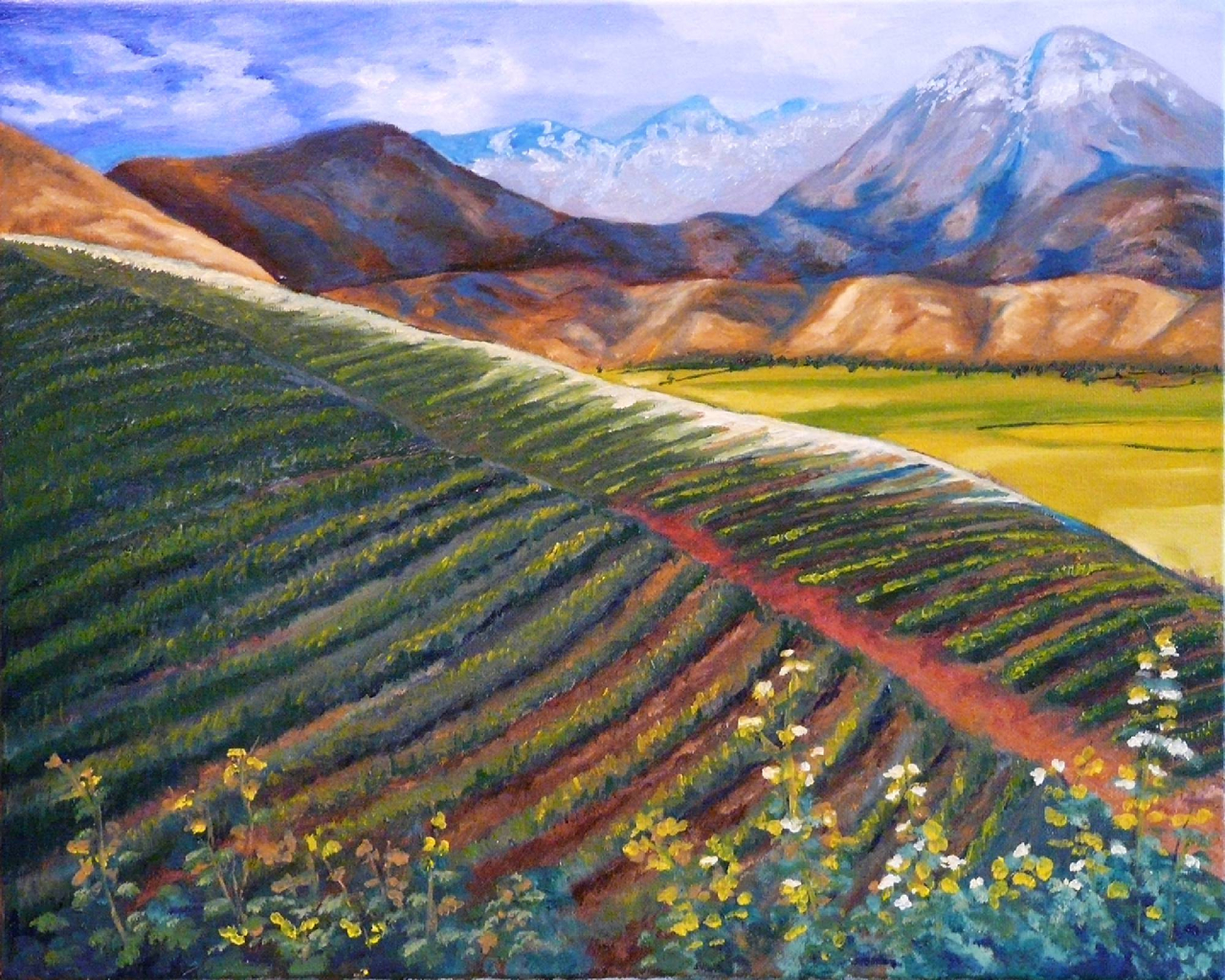 Mountain Farmland