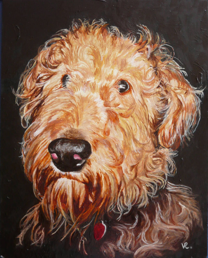 Pet Portrait - Fonzi